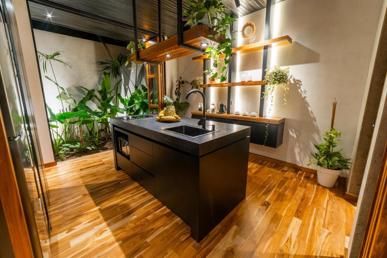 Ferienwohnung Danta Santa Lofts La Fortuna Exterior foto